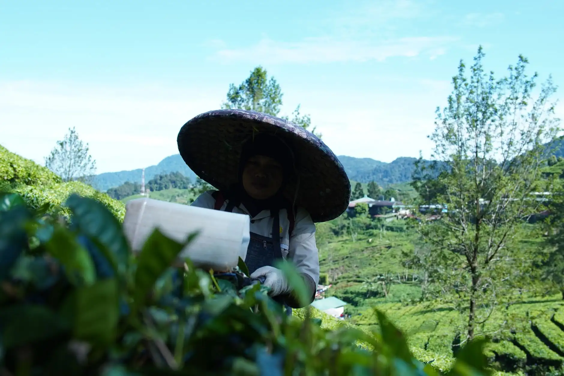 植发医师培训课程中的临床案例教学方法与技术规范探讨