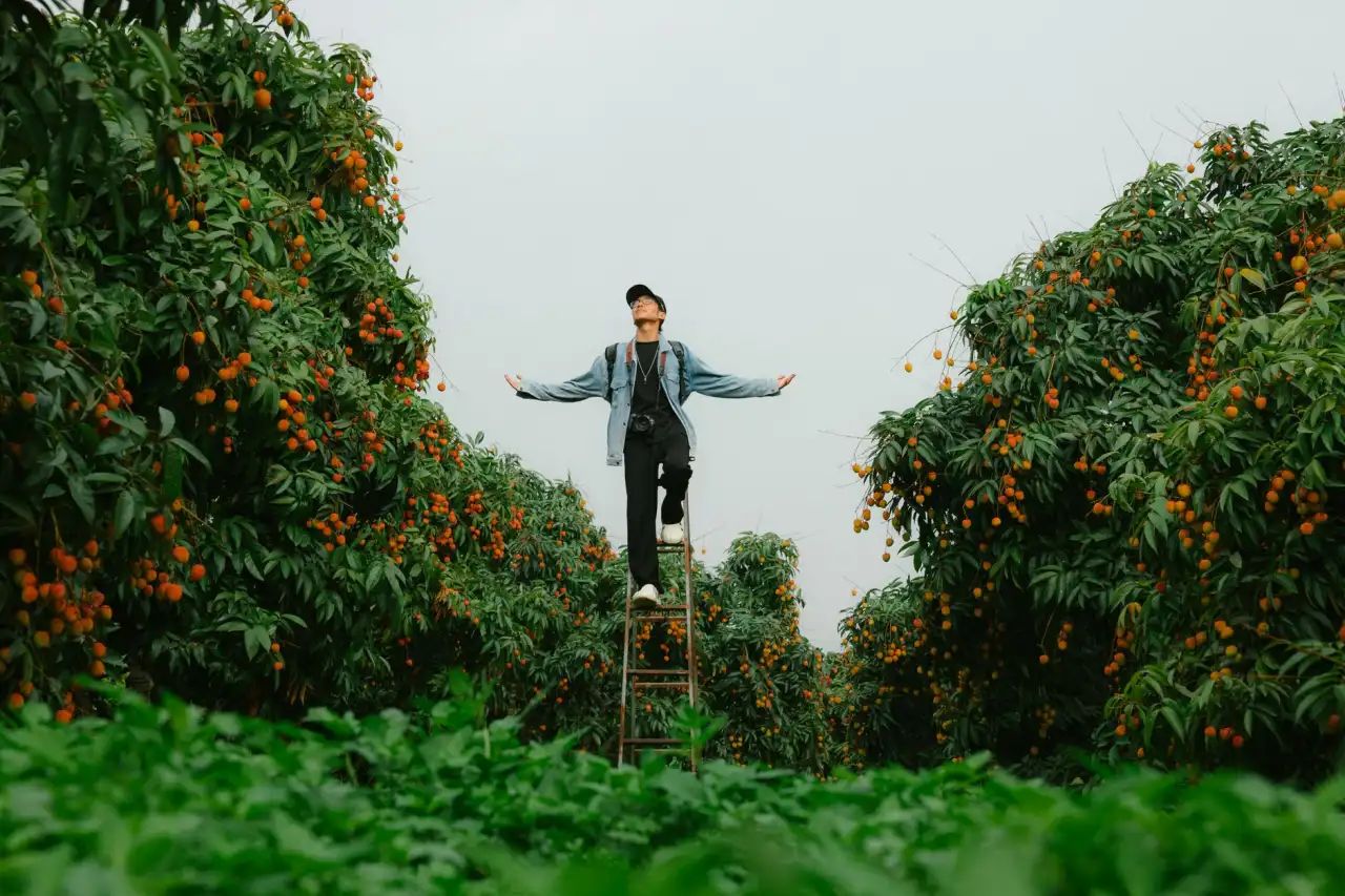 植发医师培训课程体系设计思路与临床实践要点