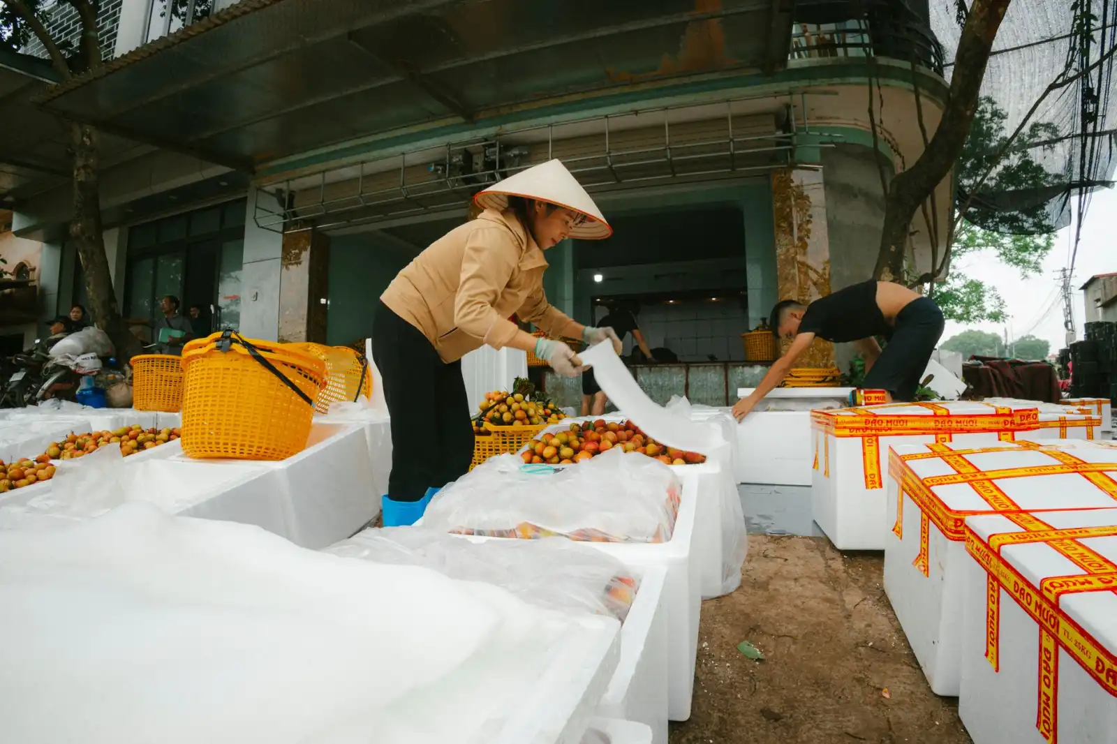 植发医师规范化培训体系构建与临床带教模式探讨