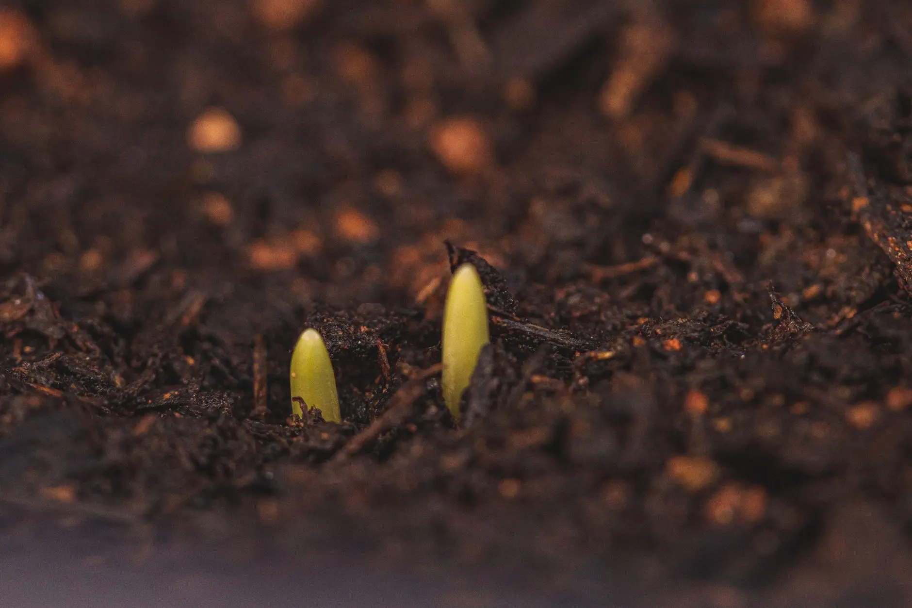 北京科发源植发技术研究中心开展植发医师培训与临床案例教学实践