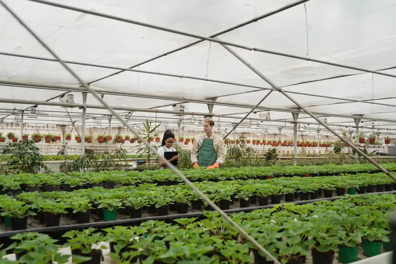 植发医师规范化培训体系建设与临床教学经验分享
