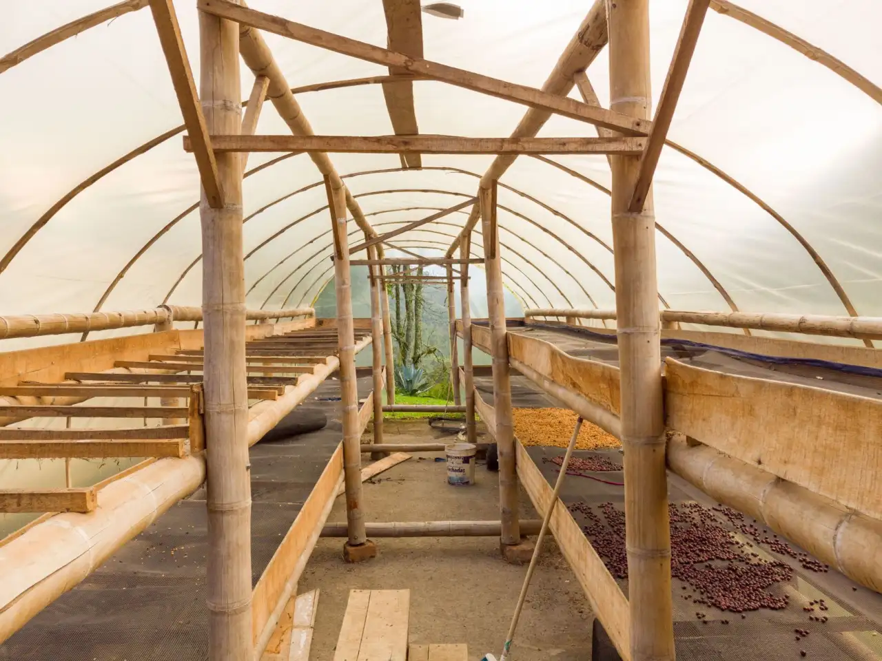 科发源临床案例库建设：植发手术方案设计与效果评估方法