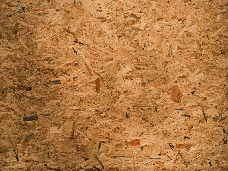 科发源植发研究中心学术交流平台建设与行业人才培养方案