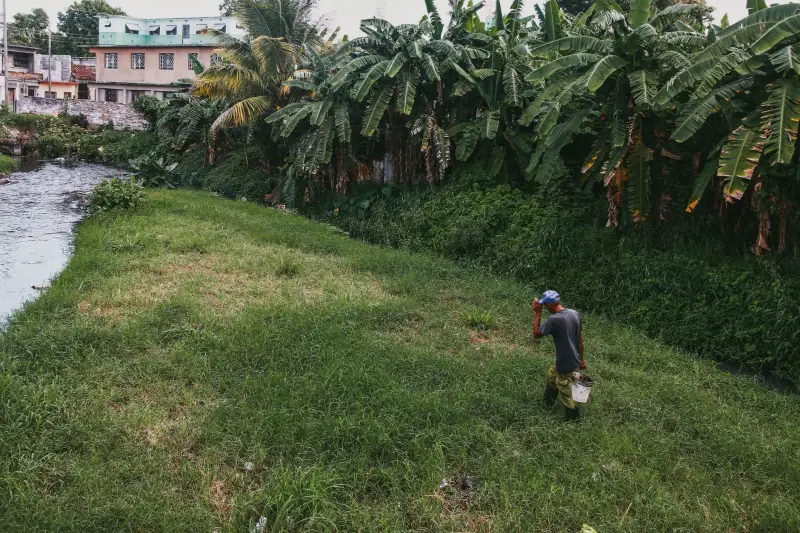 基于临床案例的植发手术方案设计与术后毛发生长评估