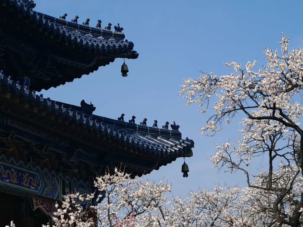 植发医师规范化培训体系构建及临床带教模式探讨