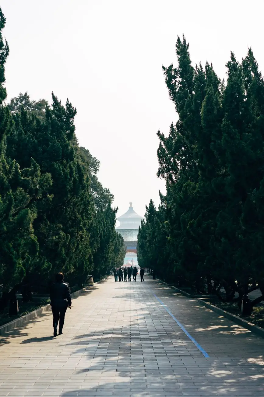 植发医师临床案例教学体系在技术培训中的应用分析