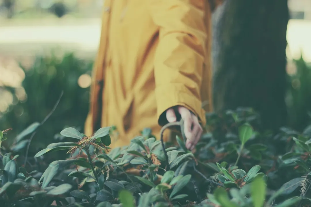 植发医师培训课程体系解析：从基础理论到临床实操的进阶路径